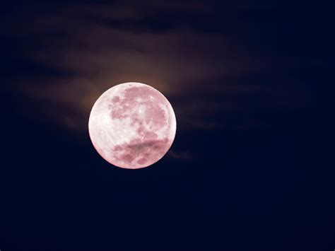 A Pink Moon Arrives On Friday April 19 Heres What It Means Allure