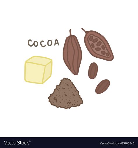 Cocoa Superfood Isolated On White Royalty Free Vector Image