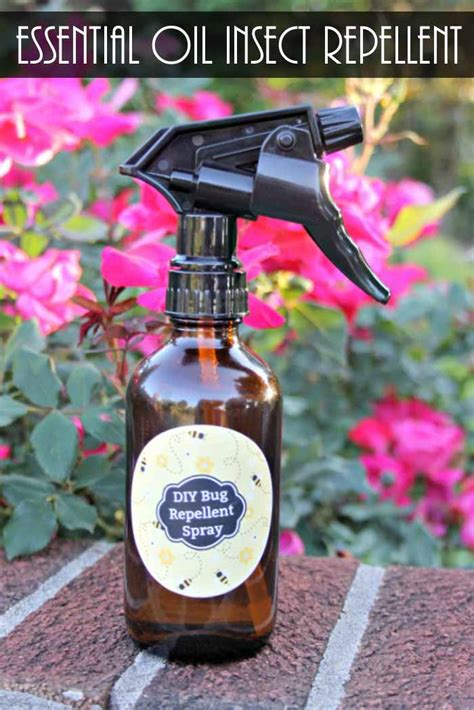Are you searching for a homemade cat repellent solution? Essential Oil Insect Repellent Recipe - The Country Chic ...