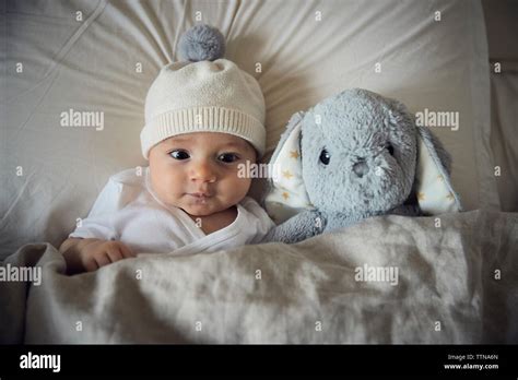 High Angle View Of Baby Boy With Teddy Bear Lying On Bed At Home Stock