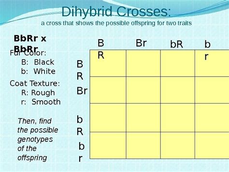 Of course you can continue with crosslings but a phenotype description can only be given for the listed species, unless you 'formally' add your own genes. Heredity and Genetics Part Two Dihybrid Crosses