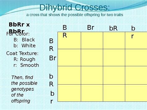 A dihybrid cross involves the crossing of just one trait. Heredity and Genetics Part Two Dihybrid Crosses