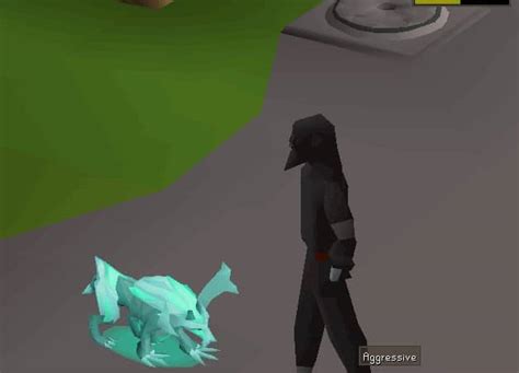 Osrs Pets Guide Find The Best One For You Rune Fanatics