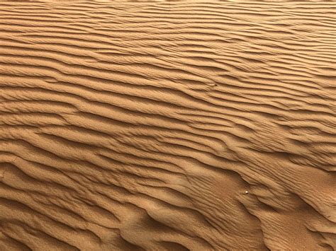 Foto De Stock Gratuita Sobre Arena Desierto