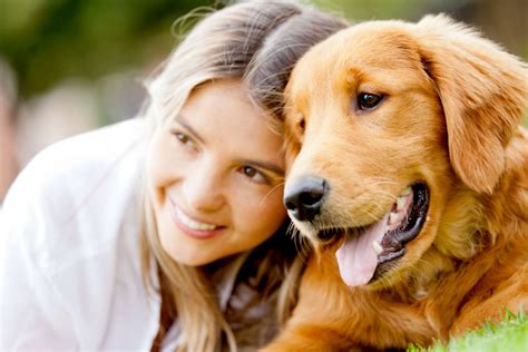 The Five Best Pet Charities Operating In The United States