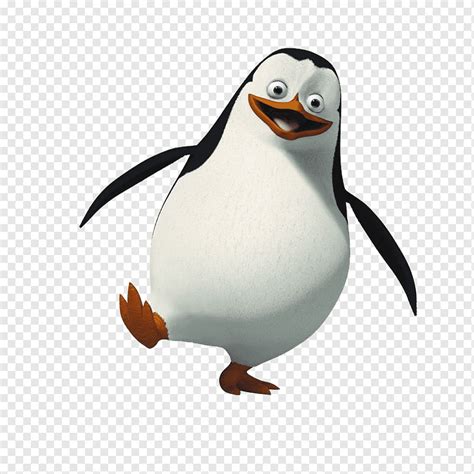 Pinguim Pinguim Animal Clipart De Pinguim Png Pngwing