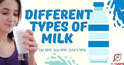 Different Types Of Milk Explained