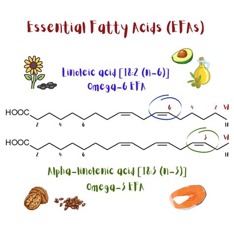 Essential Fatty Acids Ar