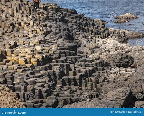 The Typical Rock Formations Of Giants Causeway In Northern Ireland