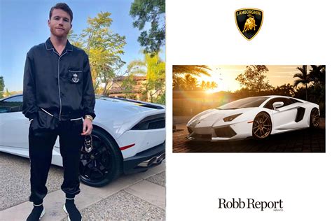 El boxeador, saúl canelo álvarez celebró el primer año de su hijo saúl adiel en zapopan, jalisco, estuvo acompañado por tres de sus cuatro hijos. Estas son las marcas favoritas de lujo de Saúl "Canelo ...
