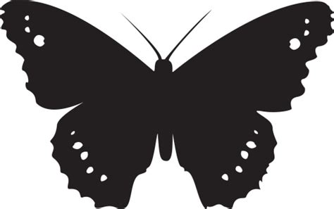 Butterfly Silhouette Vector Stock Illustration Download Image Now