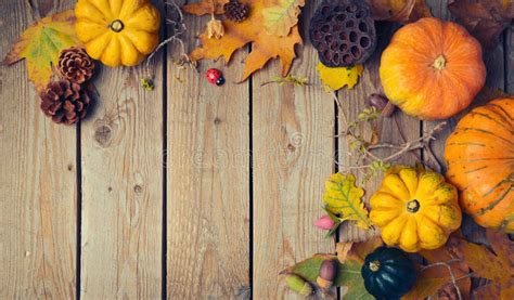 Thanksgiving Dinner Background Autumn Pumpkin And Fall Leaves On