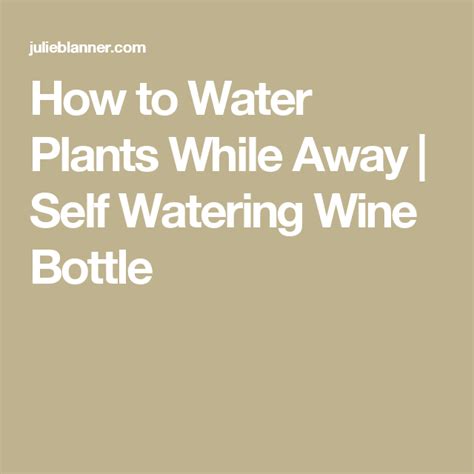 How To Water Plants While Away Self Watering Wine Bottle Water