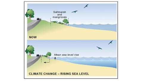 How Sea Level Rise Will Impact Surfing In More Ways Than You Thought