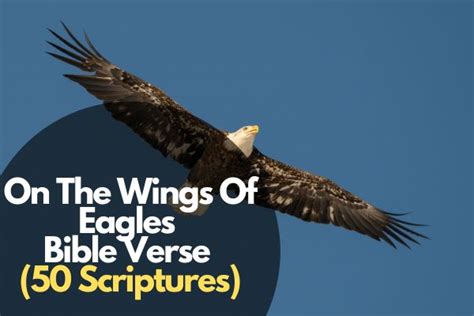 50 Best Bible Verse On The Wings Of Eagles