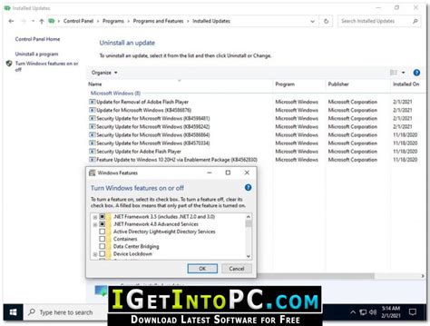 Iget Into Pc Windows 10 20h2 With Office 2019 Pro Plus 2021 Free Download