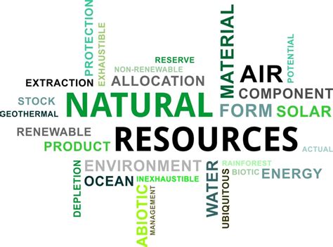 The 20 Best Masters In Natural Resource Management Business