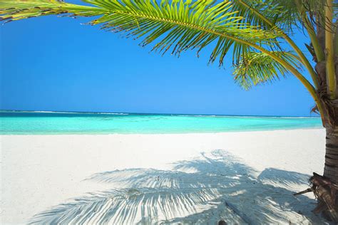 Tranquill Tropical Island Beach In The Photograph By Apomares Pixels