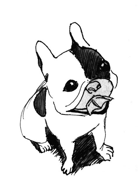 Mostlovedtoday Art Drawing Illustration Pen Pug