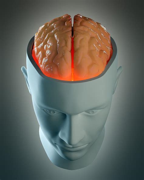 Human Brain Artwork Digital Art By Andrzej Wojcicki Pixels