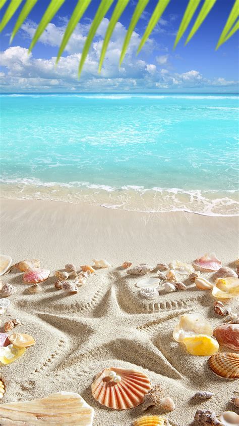 Beach Nature Sand Shells Starfish Summer Tropical Hd Phone