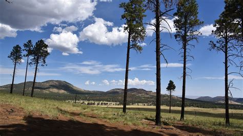 Hiking The White Horse Hills In Coconino National Forest Flagstaff Az