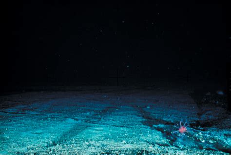 Emptying The Ocean Trawling Leading To Deep Ocean Deserts Discover