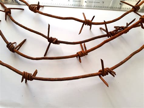 Original Wwii Ww2 Barbed Wire Battle Relic 1943 Bunker Eastern Front