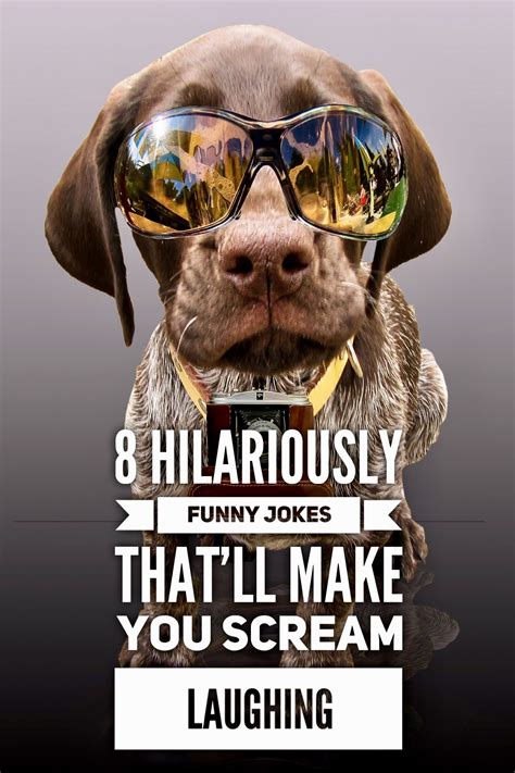 9 Hilariously Funny Jokes Thatll Tickle You Silly Funny Jokes Jokes