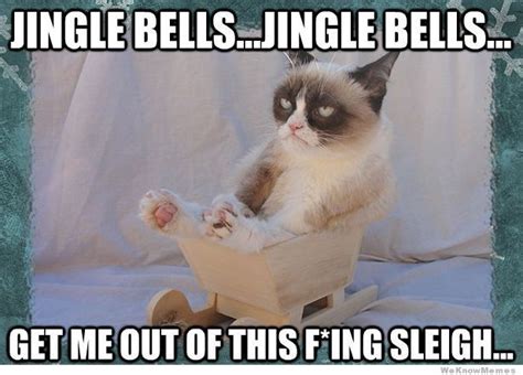 Jingle All The Way~ Grumpy Cat Christmas Funny Grumpy Cat Memes