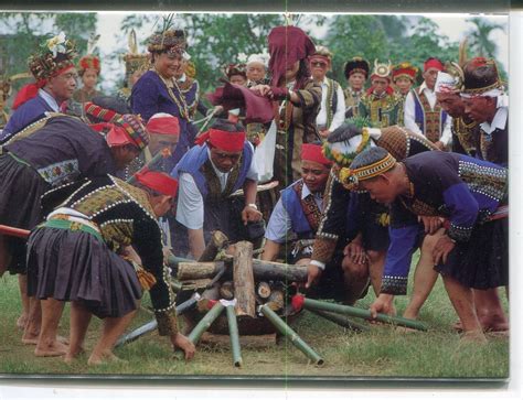 Collect Roc Taiwan Aborigines Postcard Paiwan Tribes Pingtung