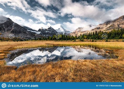 Mount Assiniboine Reflection On Pond In Golden Meadow At Provincial