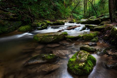 Panther Creek Falls Trail Travel Noob