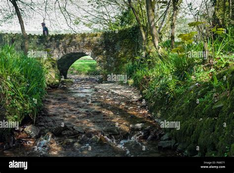 Small Stone Bridge Across A Stream Near The River Barle Somerset
