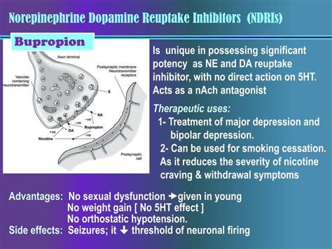 Ppt Antidepressants Powerpoint Presentation Free Download Id2580394