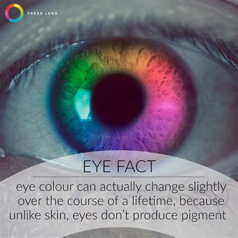 10 Fascinating Eye Facts You Didnt Know