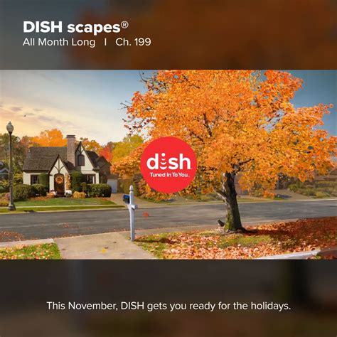 Dish Dish Scapes November Facebook