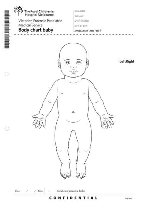 Baby Body Chart Medical Assessment Victorian Forensic Paediatric