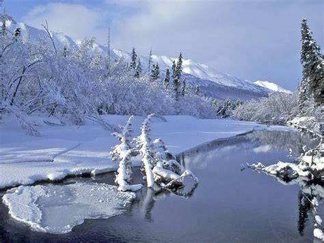 Alaska Winter Nature All Nature Amazing Nature Moving To Alaska