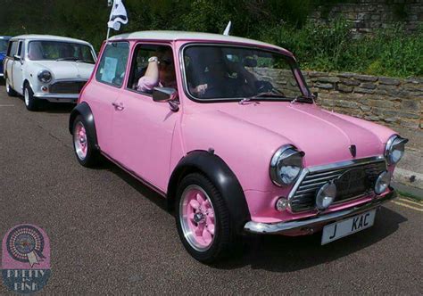 Been A While Since Weve Had A Pretty In Pink Mini This 1 Fits The