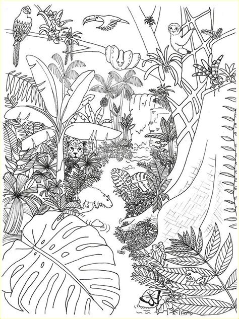 16 Luxury Rainforest Coloring Page Photos In 2020 Animal Coloring