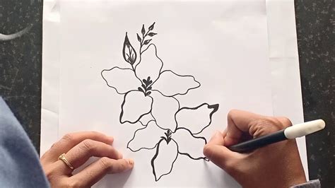 Cara Menggambar Sketsa Bunga Sepatu Dengan Spidol Youtube
