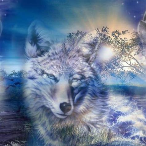 One site with wallpapers at high resolutions (uhd 5k, ultra hd 4k 3840x2160, full hd 1920x1080) for phones and desktop. 10 New Cool Wolf Desktop Backgrounds FULL HD 1080p For PC ...
