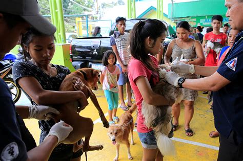Vets In Philippines Turn To Technology To Track And Tackle Rabies Abs Cbn News
