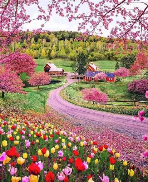 Colores De La Primavera 😍 Paisaje Relajantes Jardines Bonitos