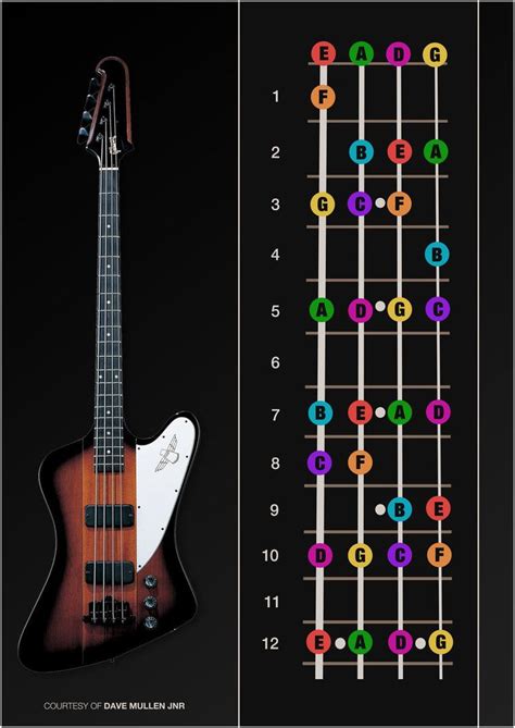 When you are playing the electric bass, there is these 4 strings and each have a name that go along with them. Bass Guitar Notes Poster by davemullenjnr (With images ...