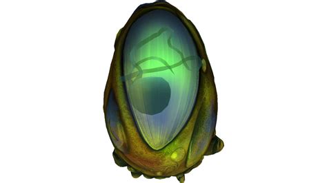 Image Eggs 8png Subnautica Wiki Fandom Powered By Wikia