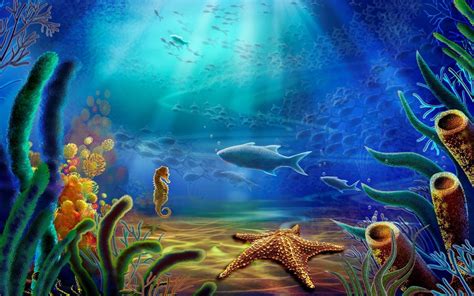 Ocean Life Wallpapers Top Free Ocean Life Backgrounds Wallpaperaccess