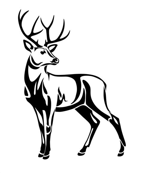 Deer Pictures Drawing Free Download Deer Pictures Deer Drawing