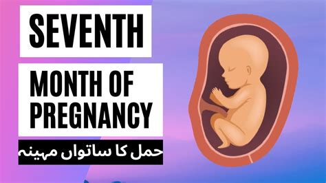 seventh month of pregnancy حمل کا ساتواں مہینہ youtube